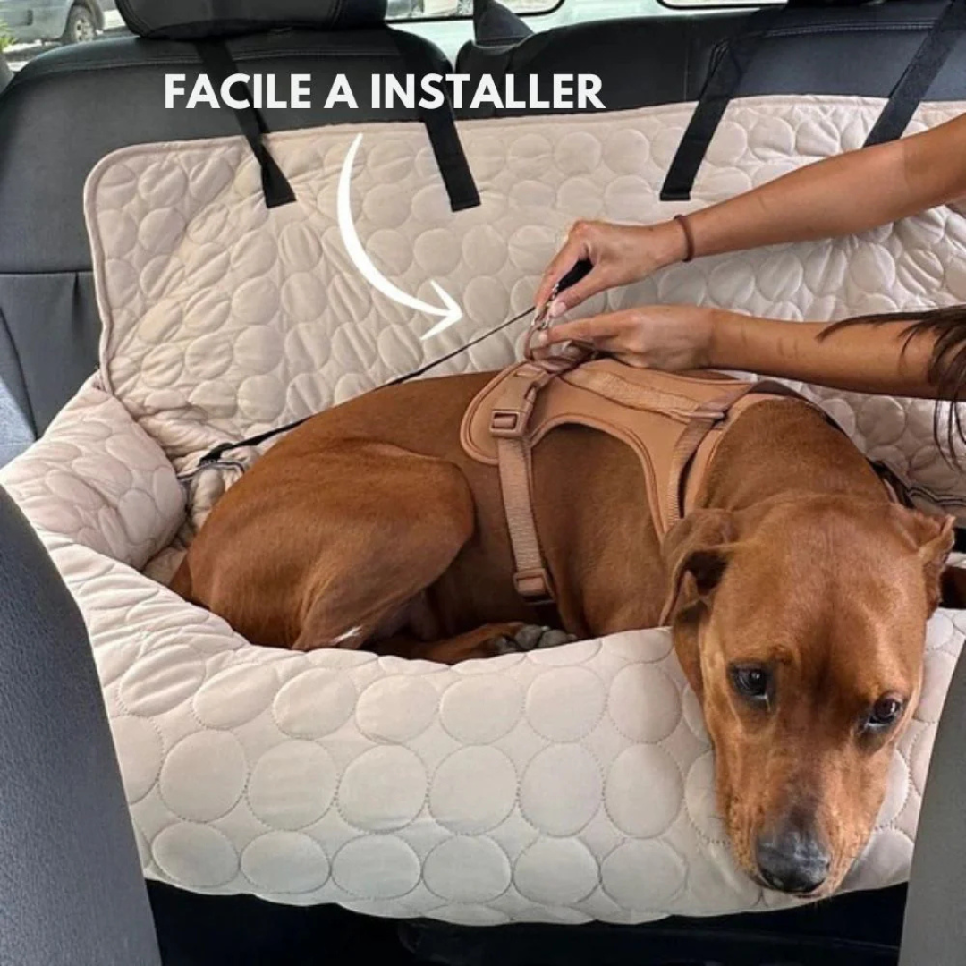 Kühlender Autositz für Hunde
