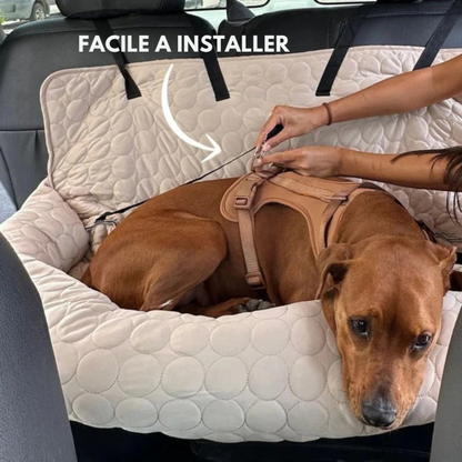 Kühlender Autositz für Hunde
