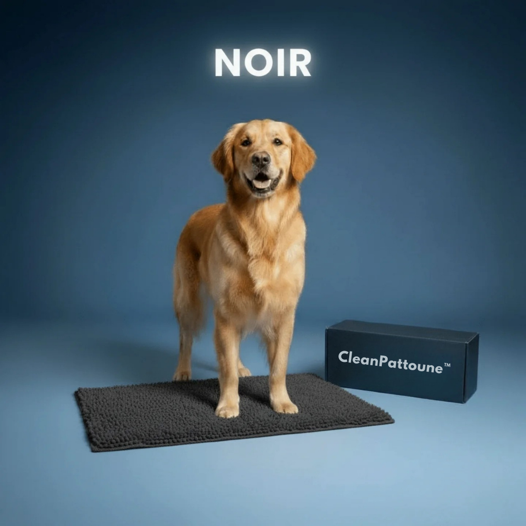 Tapis Ultra-Absorbant