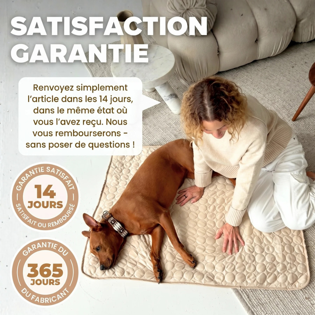 Tapis Rafraîchissant Chien Anti-Chaleur