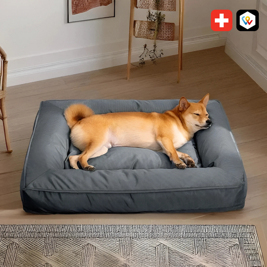Lit Orthopédique pour Chien