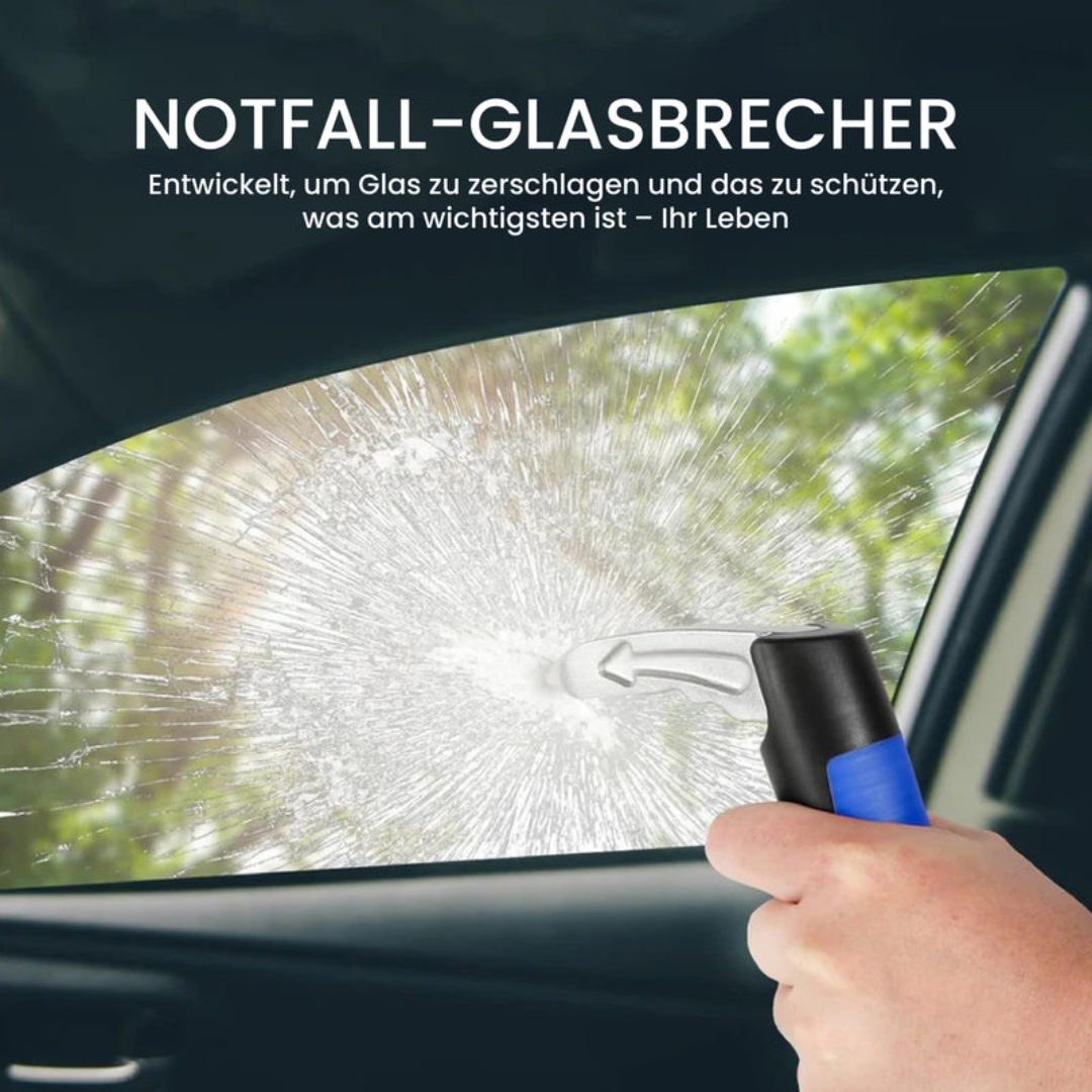 Haltegriff für Autos