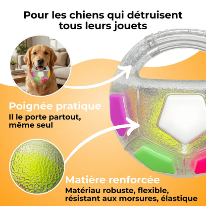 Jouet Résistant pour Chiens