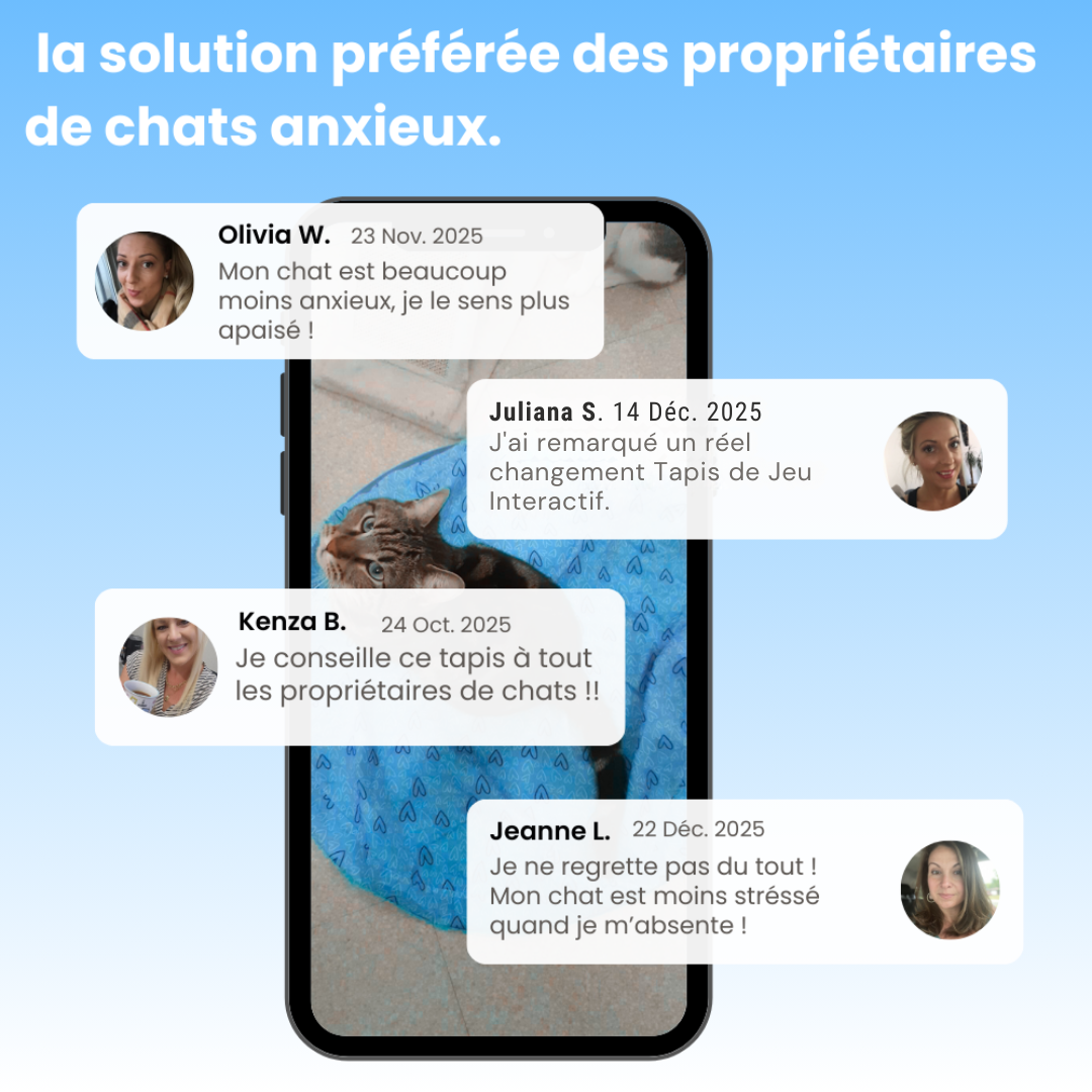 Tapis de Jeu Interactif pour Chat