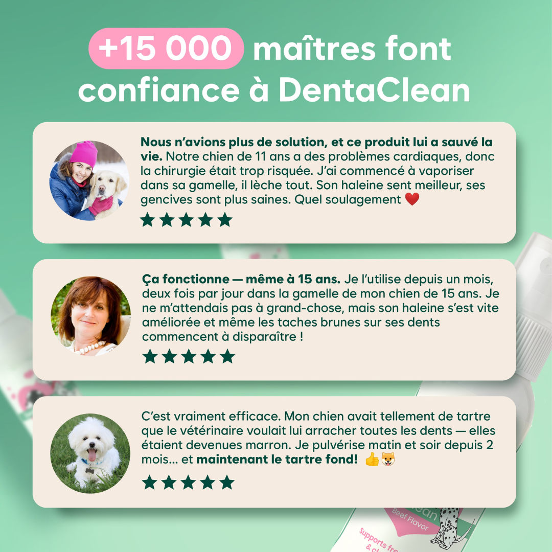 Natürliches Zahnspray gegen Zahnstein für Hunde und Katzen