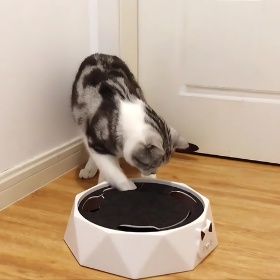 Interaktives Katzenspielzeug mit rotierender Maus