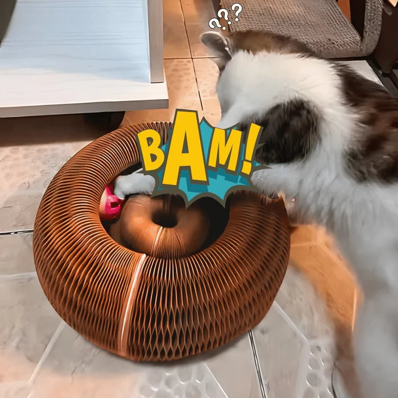 Twistou – Le jouet interactif qui capte l’attention des chats