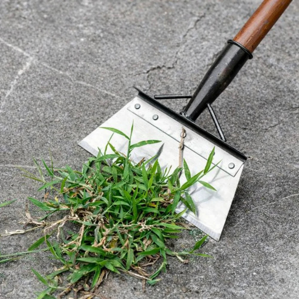 Raclette en Acier Inoxydable Ultra-Résistante pour Désherbage