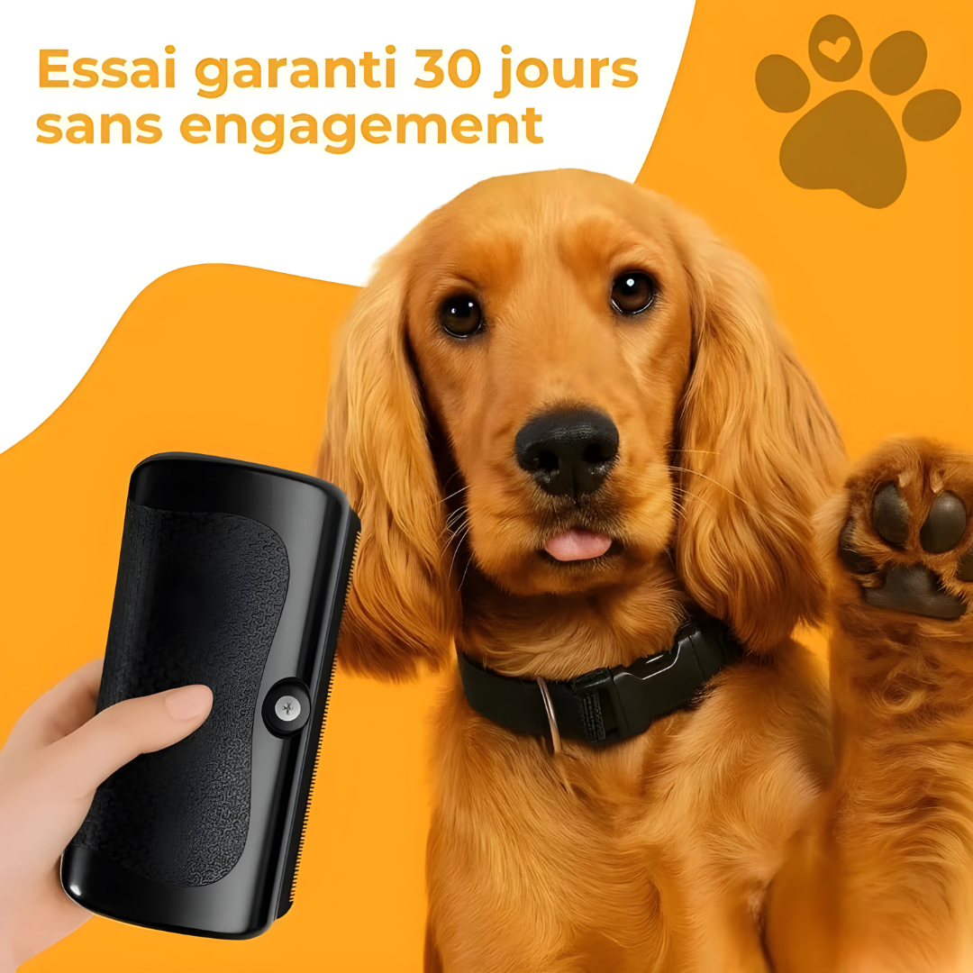 Brosse anti-poils pour chiens et chats