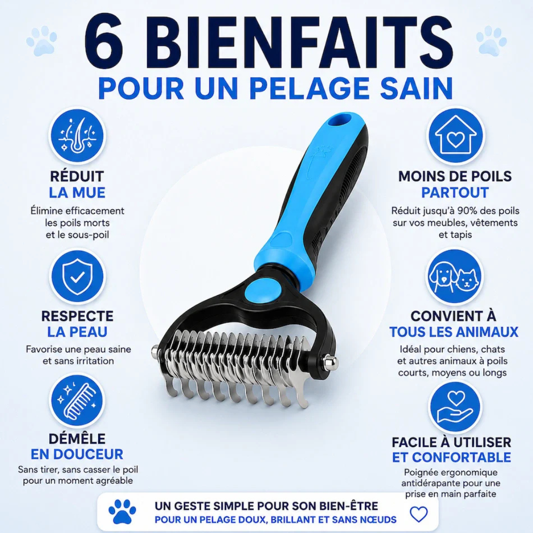 Brosse anti-poils double spirale