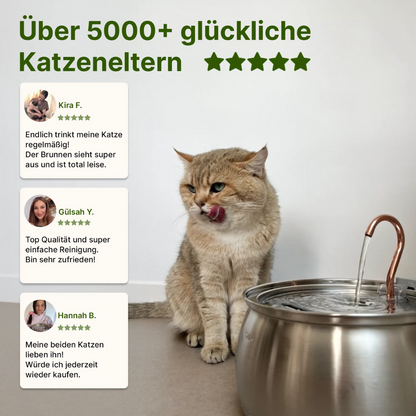 Edelstah-Katzenbrunnen