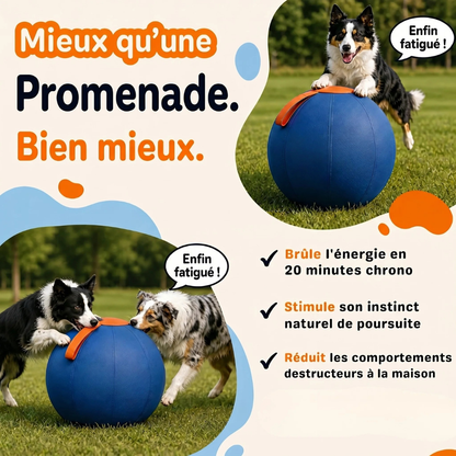 Balle interactive pour chien résistante