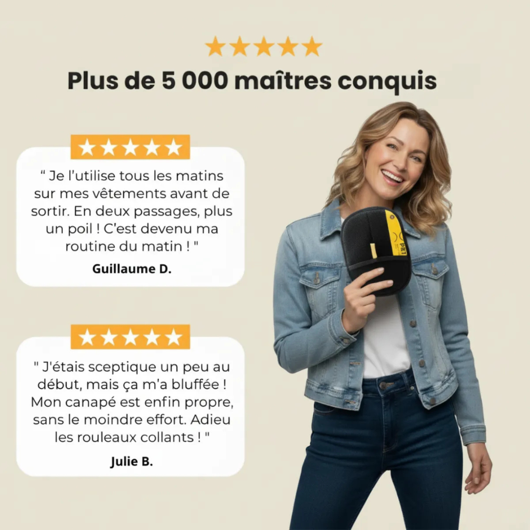 Tierhaarentfernungsbürste