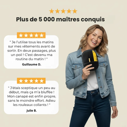 Tierhaarentfernungsbürste