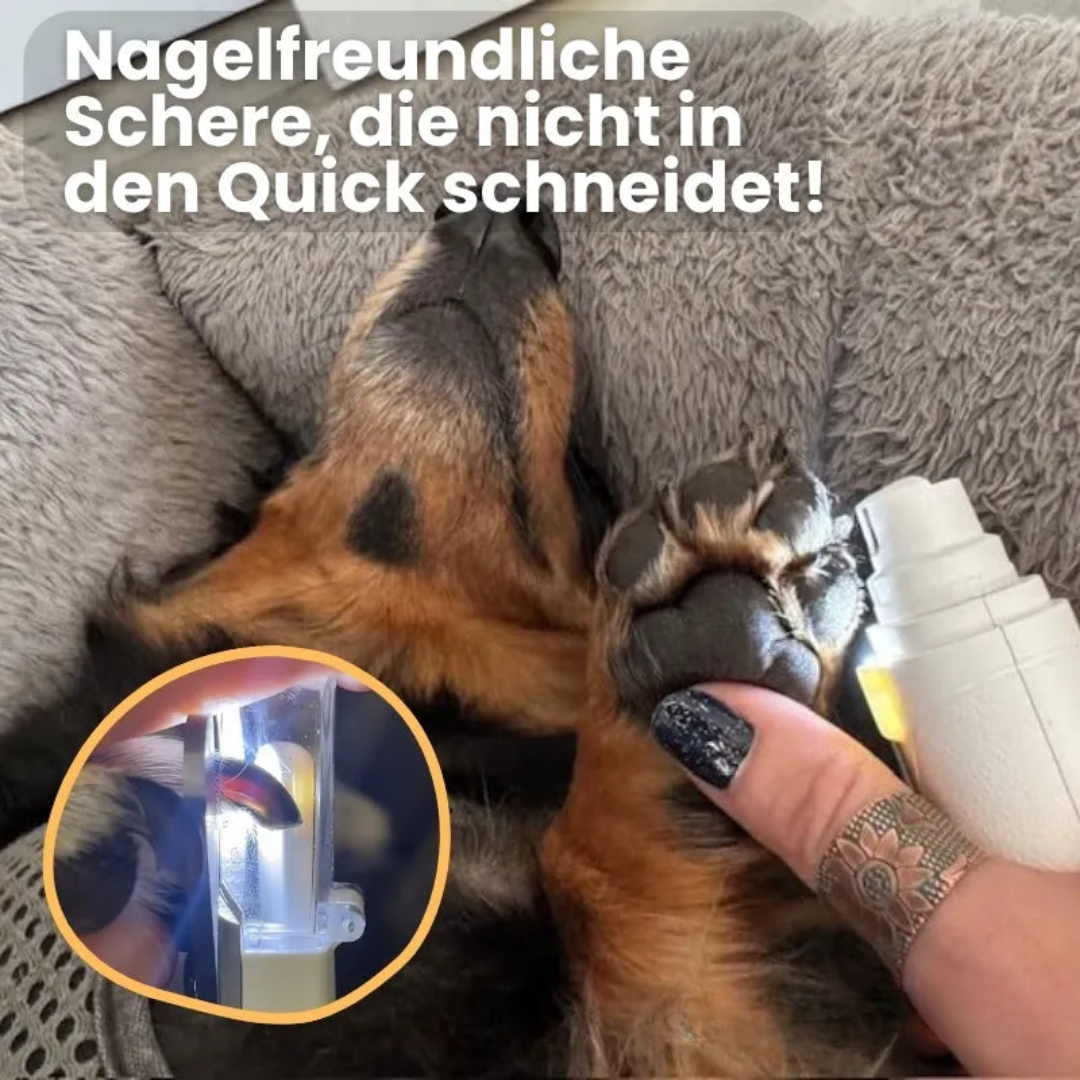 Coupe-ongles pour animaux à LED