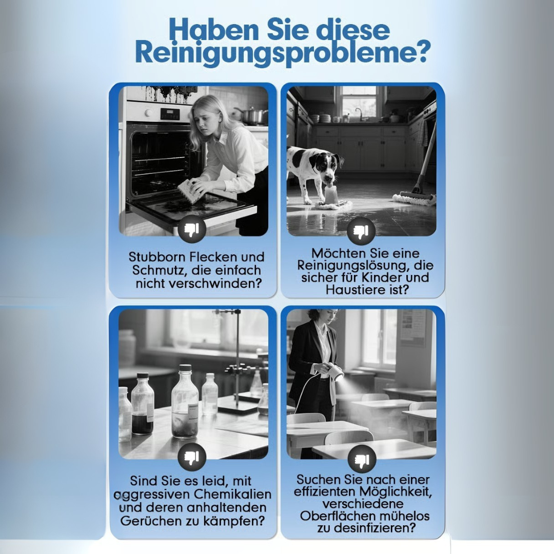 Hochdruck-Dampfreiniger