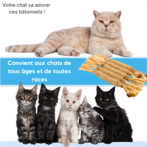 Jouet à mâcher pour chats en bâton de matatabi naturel