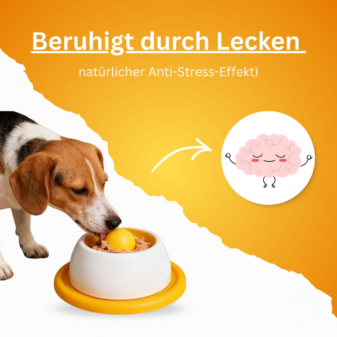 Interaktives Spielzeug für Hunde, das übermäßiges Fressen verhindert