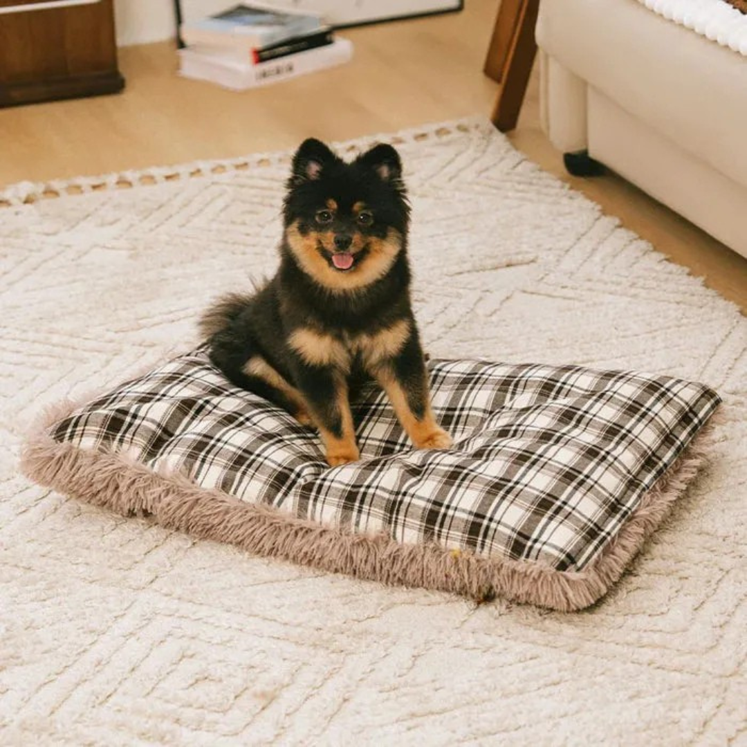 Tapis réversible en peluche pour chien