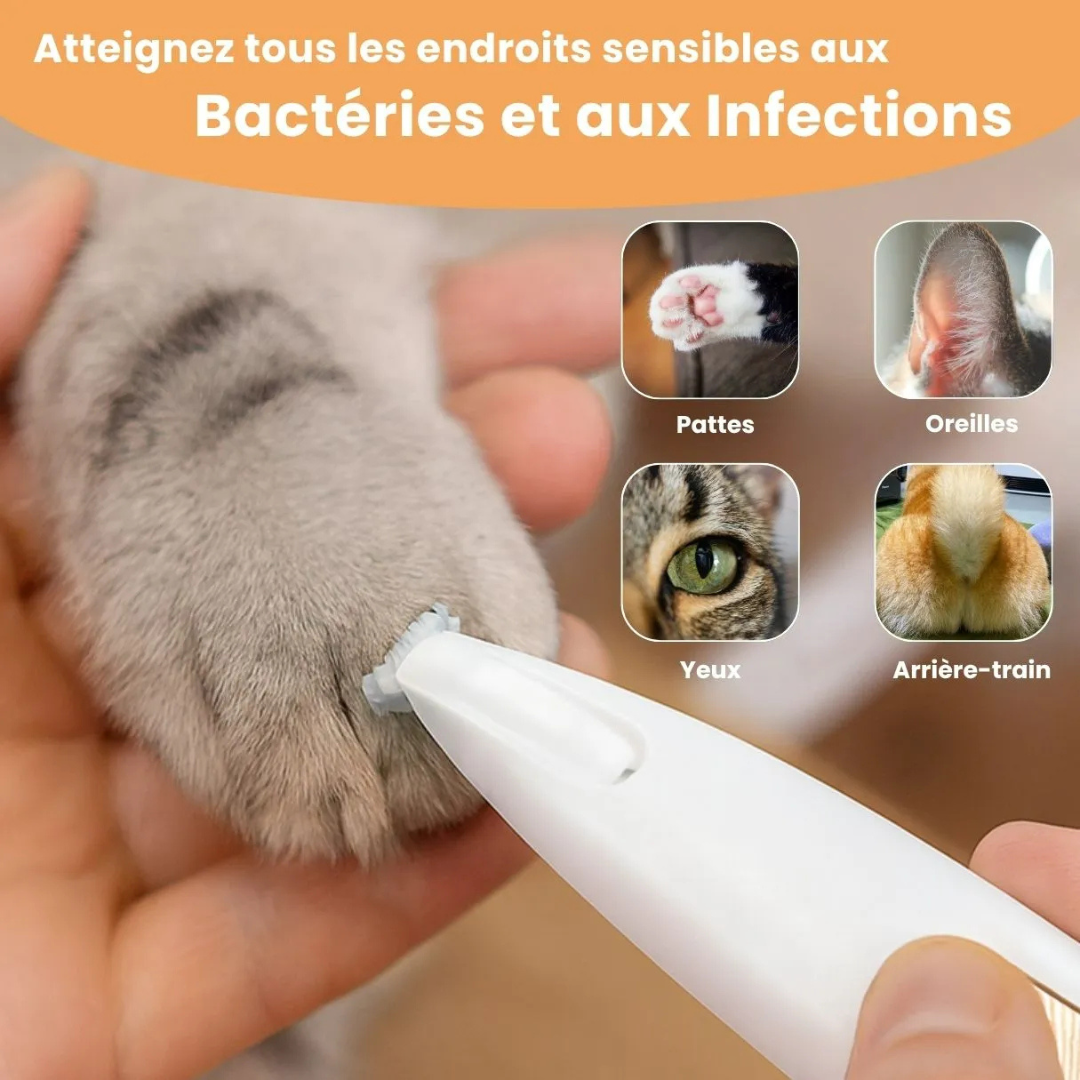 Tondeuse de précision pour chat