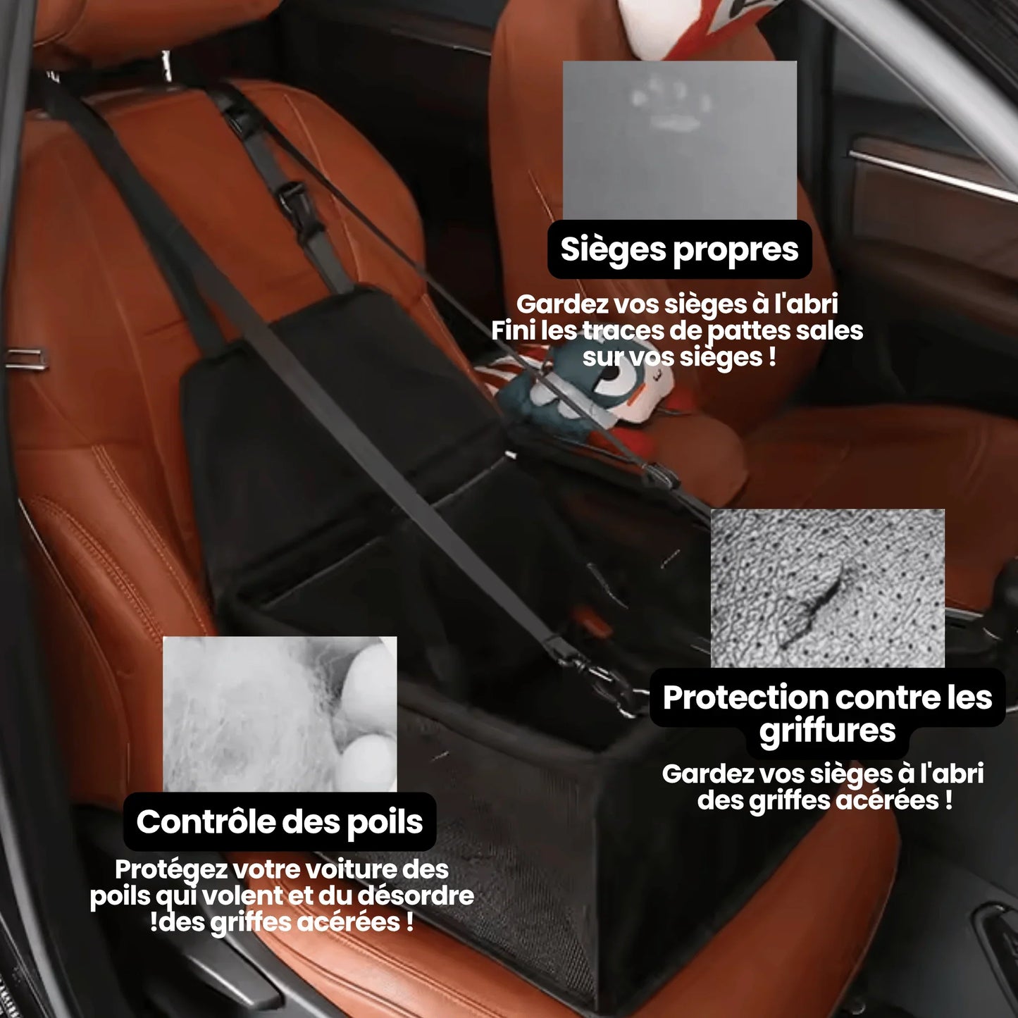 Siège de sécurité pour chat