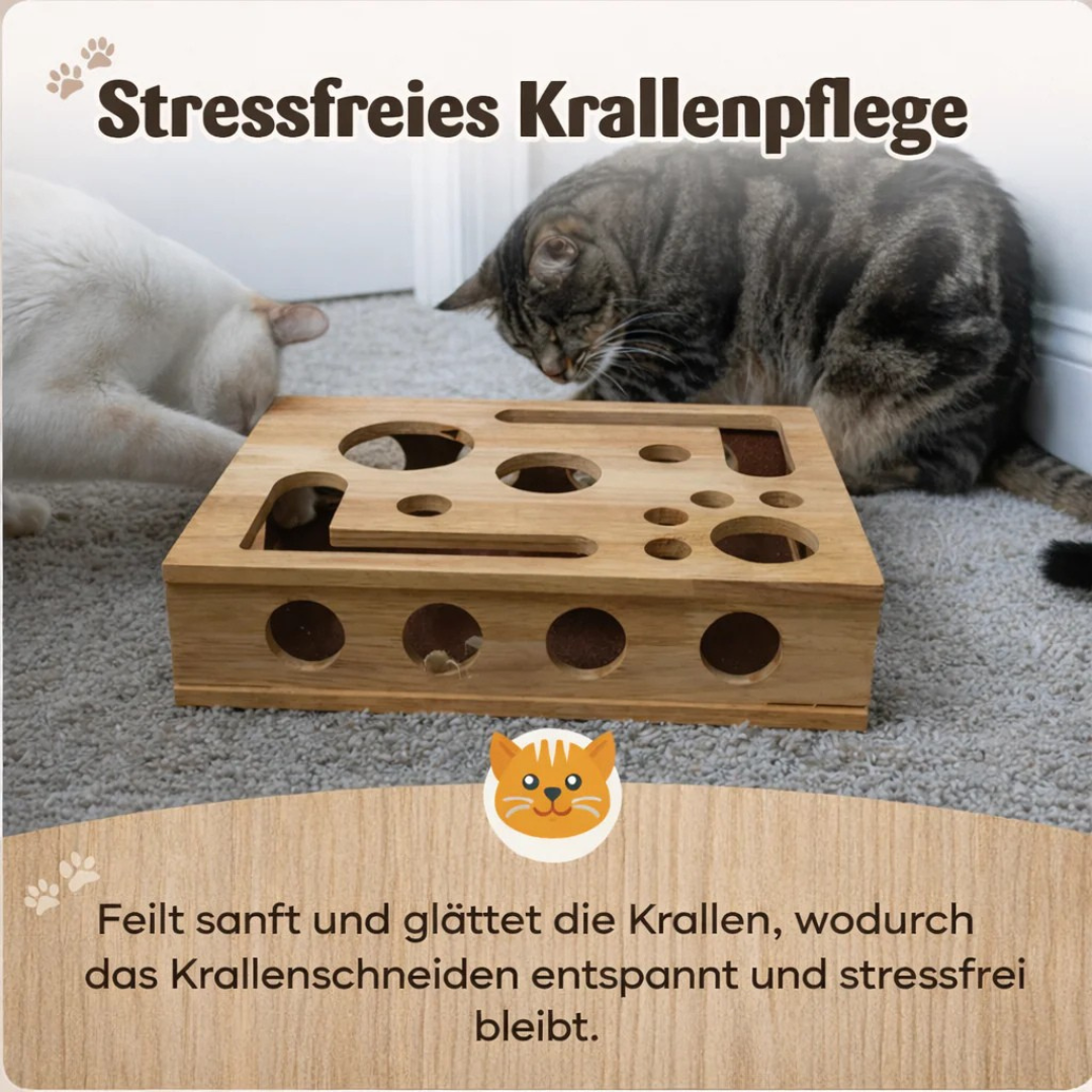 Interaktives Tablet für Katzen