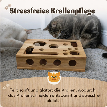Interaktives Tablet für Katzen