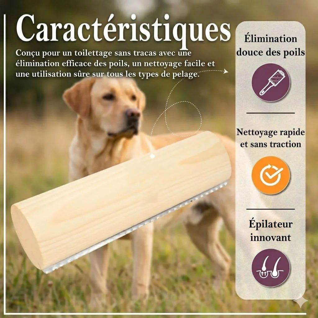 Brosse pour animaux