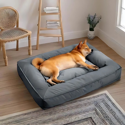 Lit Orthopédique pour Chien