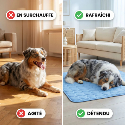 Kühlmatte für Hunde