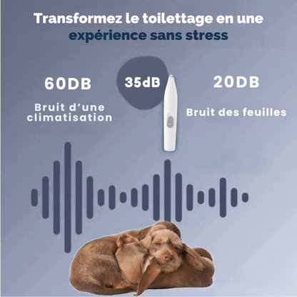 Outil électronique de soin pour pattes de chien