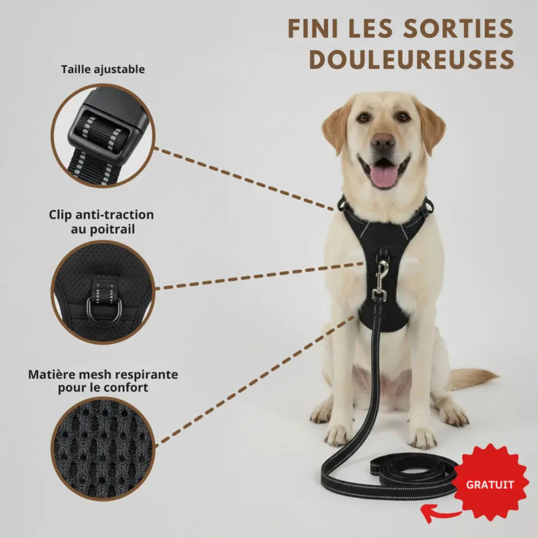 Komfortabler Anti-Zug-Gurt für Hunde