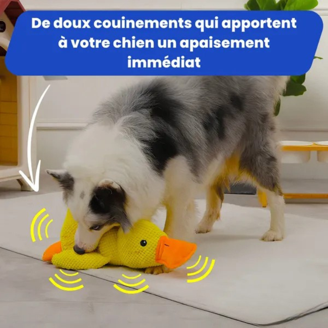 Jouet en Peluche Canard pour Chien