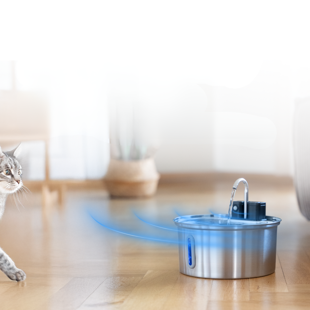 Fontaine Premium Sans Fil pour Chats