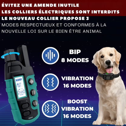 Langreichweitiges Trainingshalsband für Hunde