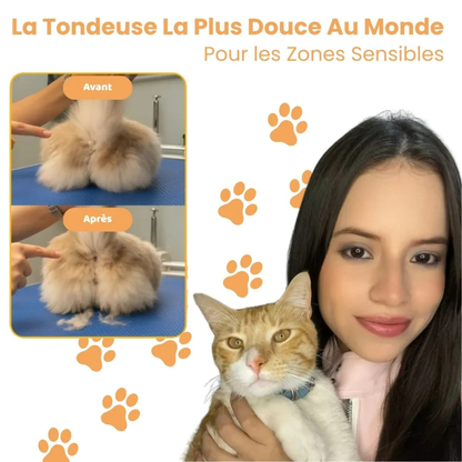 Tondeuse de précision pour chat