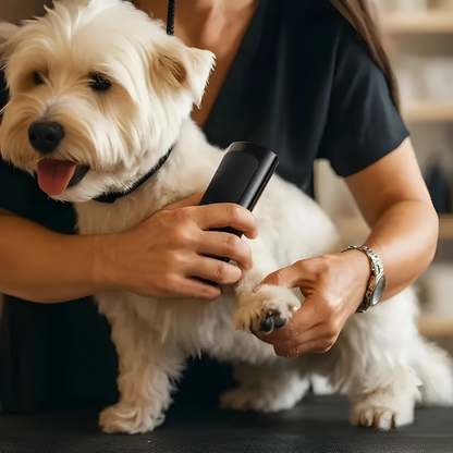 Brosse anti-poils pour chiens et chats
