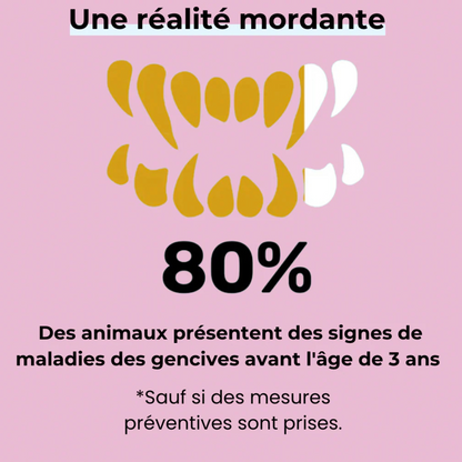 Spray dentaire naturel pour chien – Anti-tartre & haleine fraîche