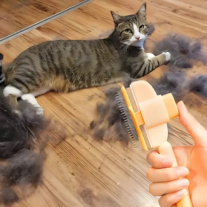 Brosse anti-poils pour animaux