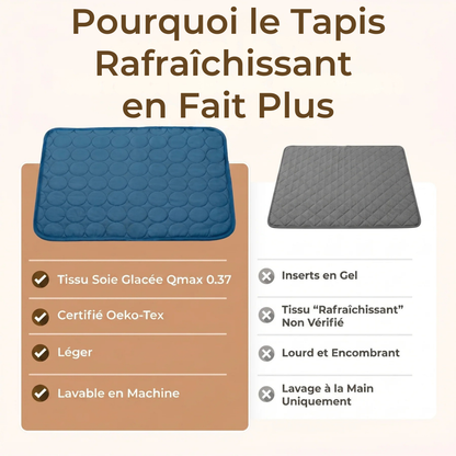 Tapis Rafraîchissant Chien Anti-Chaleur