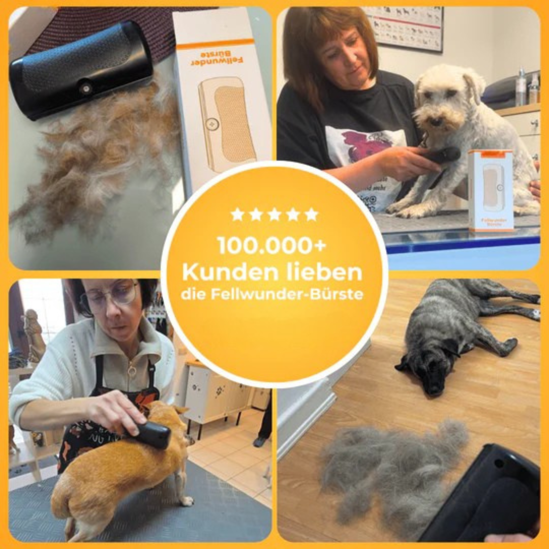 Brosse de toilettage pour chien