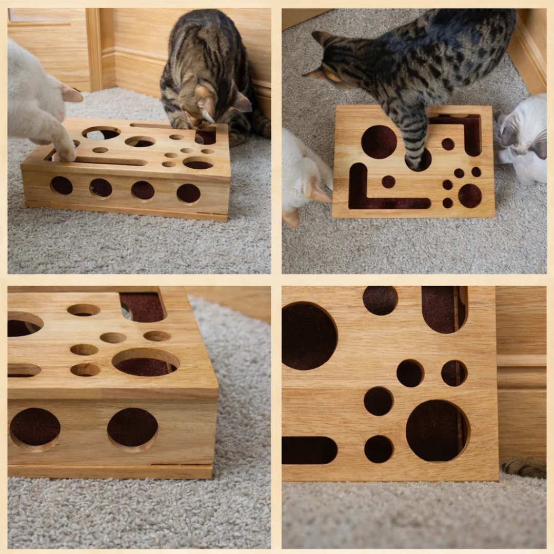 Interaktives Tablet für Katzen