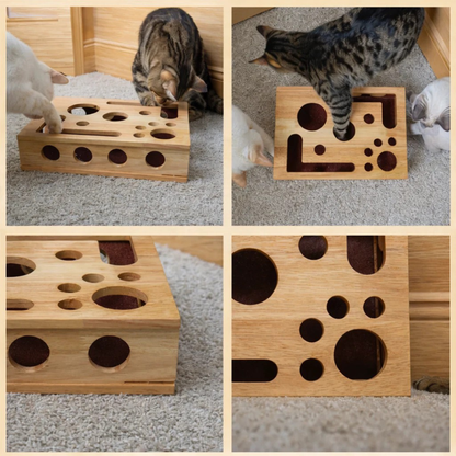 Interaktives Tablet für Katzen