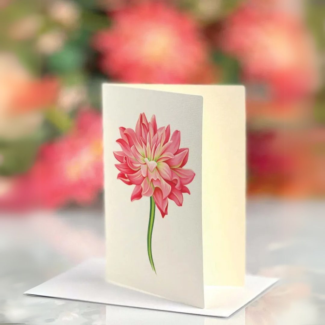 Bouquet Dear Dahlia Grande – Format Vitrine