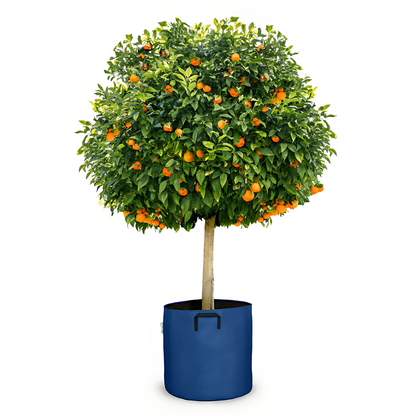 Pot auto-arrosant évolutif