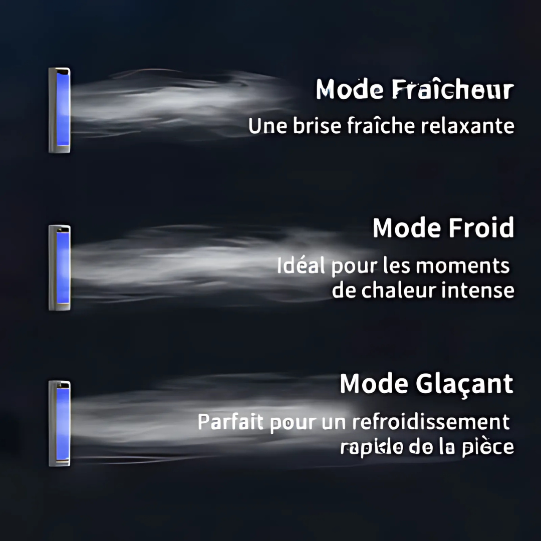 Refroidisseur d'air portable