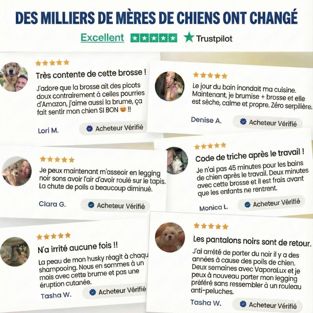 3-in-1-Dampf-Pflegebürste für Haustiere