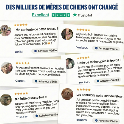 3-in-1-Dampf-Pflegebürste für Haustiere