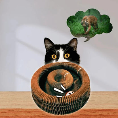 Twistou – Le jouet interactif qui capte l’attention des chats