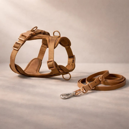Harnais anti-traction avec laisse pour chien